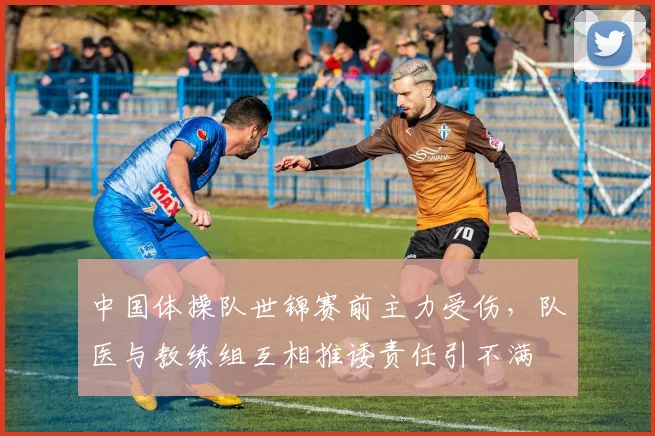 中国体操队世锦赛前主力受伤，队医与教练组互相推诿责任引不满